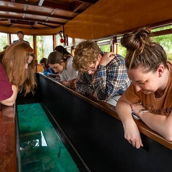 passengers on a glass-bottom boat looking through the glass panel in the bottom of the boat