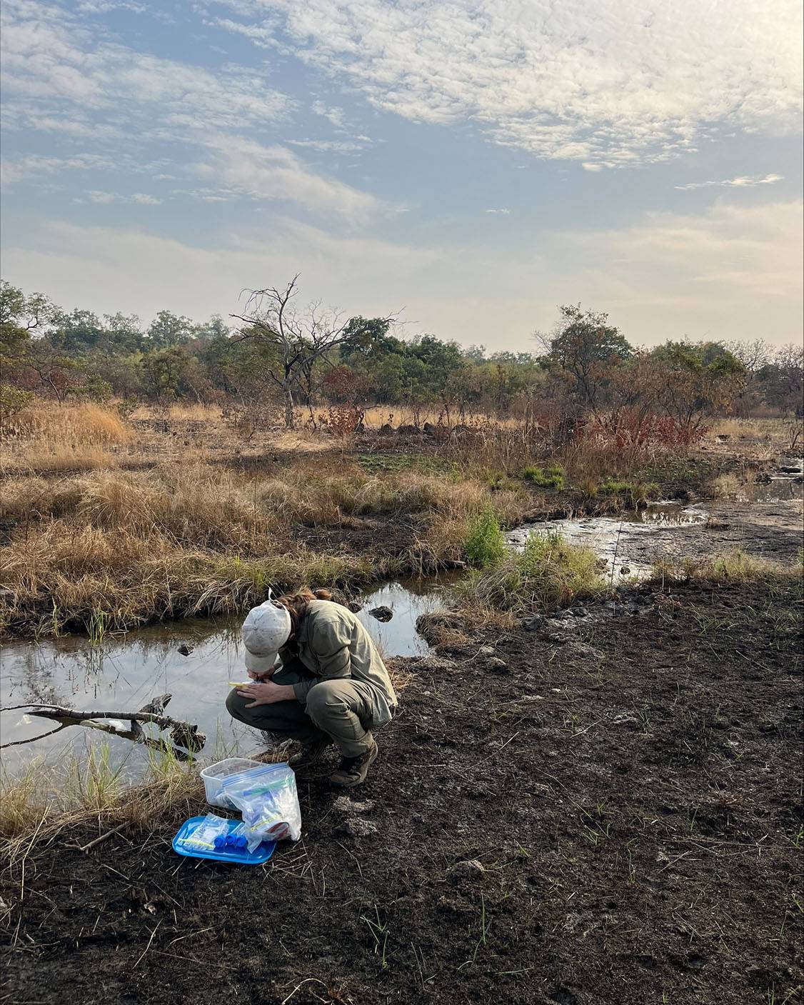 Gerstner collects data and samples in the savanna during the dry season.