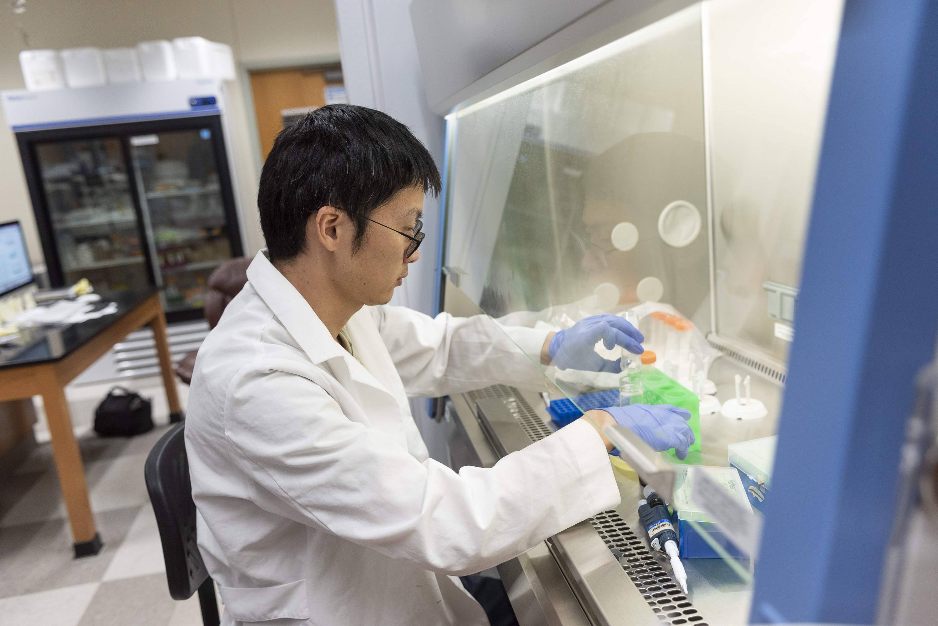 A student wearing a white lab coat, glasses, and blue gloves works inside a clear-fronted biological safety cabinet, manipulating items with their hands. 