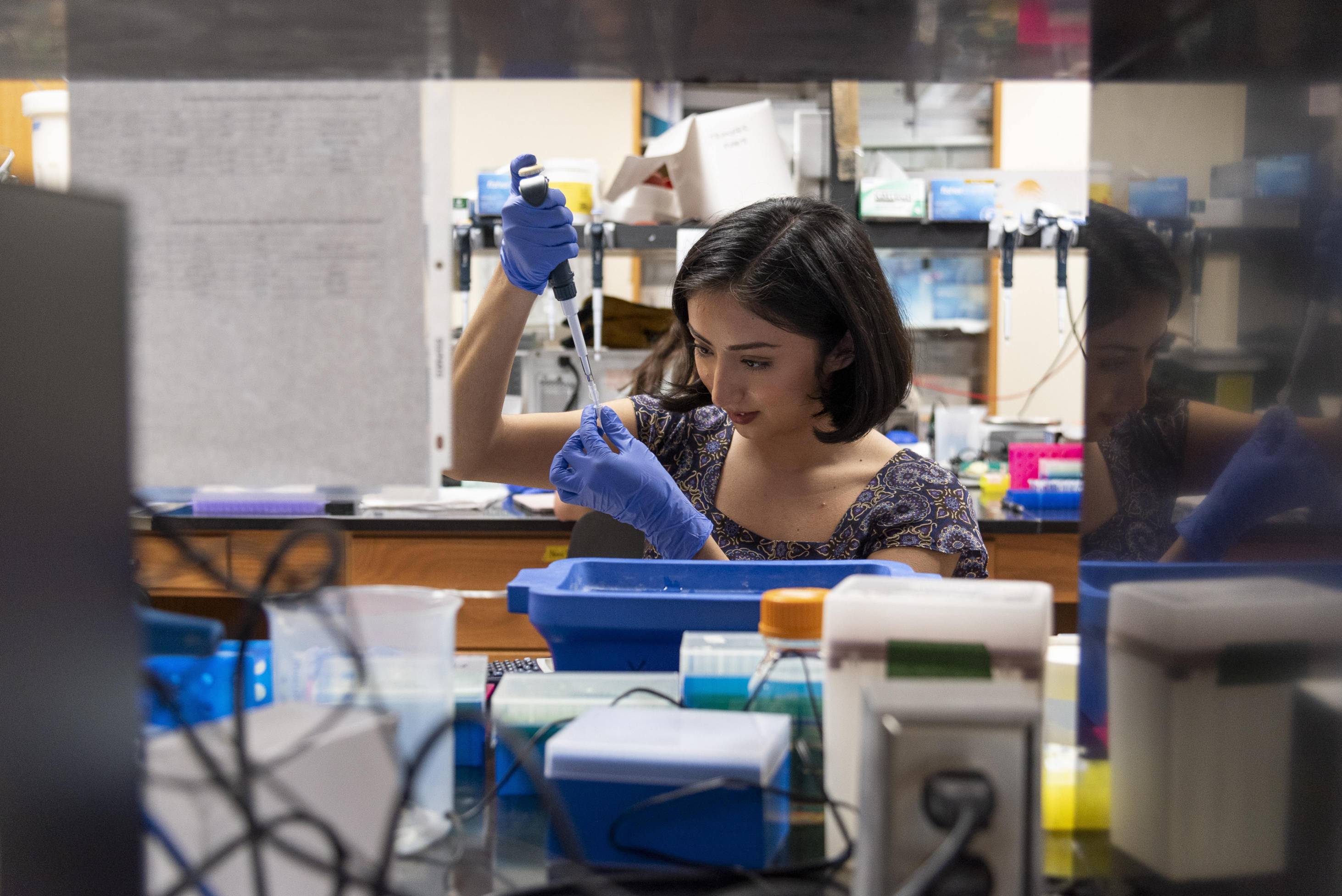  A student with dark hair and blue gloves is seen in a lab, focused on precisely measuring a liquid into a tube using a pipette. Various lab equipment and supplies are visible on the busy bench in front of them.