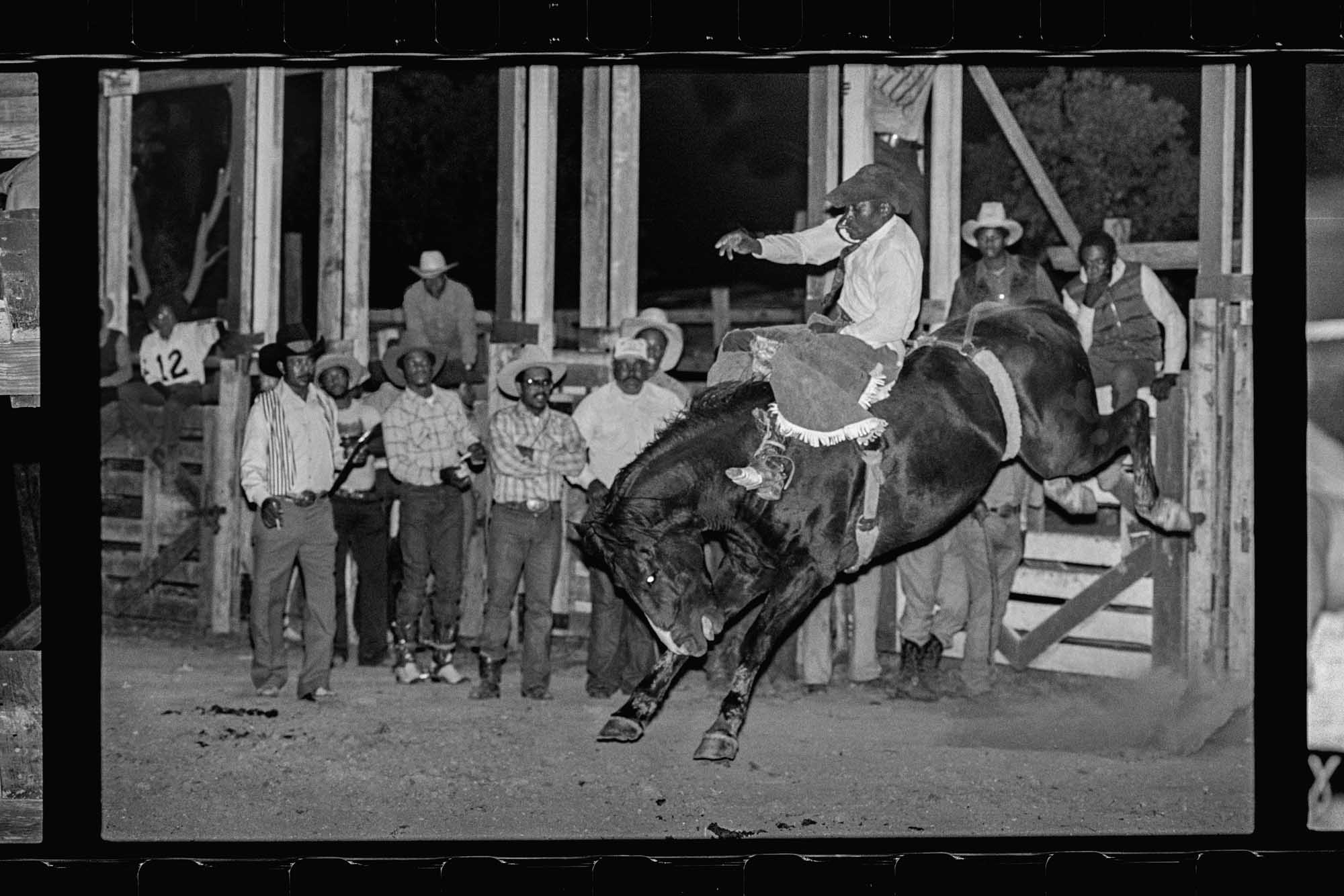 Man on bucking horse at a rodeo