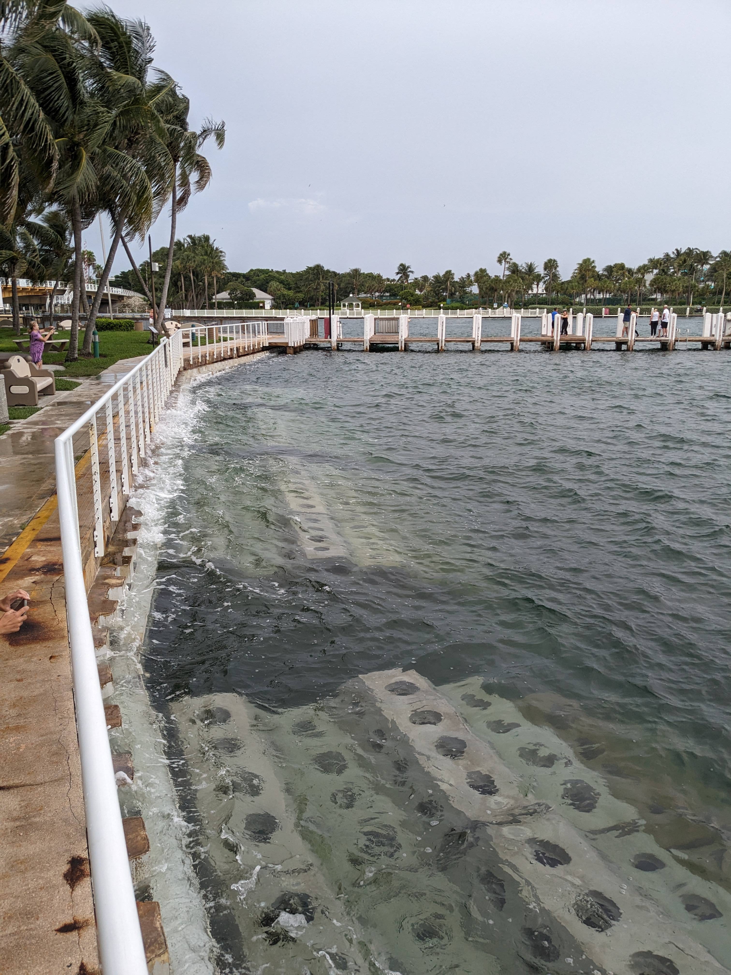 Deployed seahives submerged along a seawall.