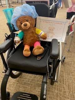 Teddy Bear Clinic