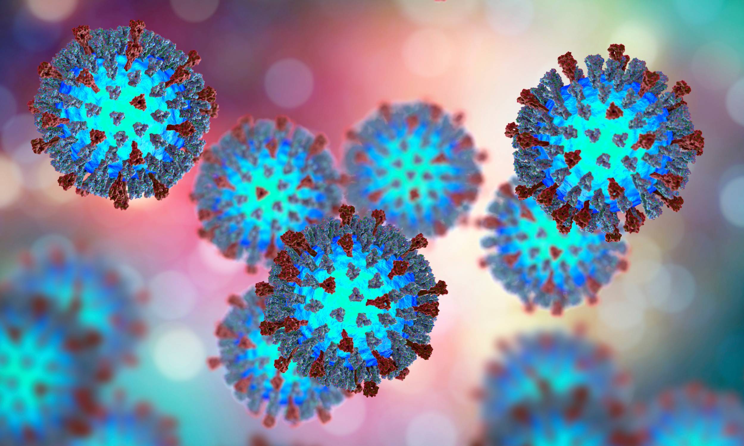 Microscopic Image of the Measles Virus