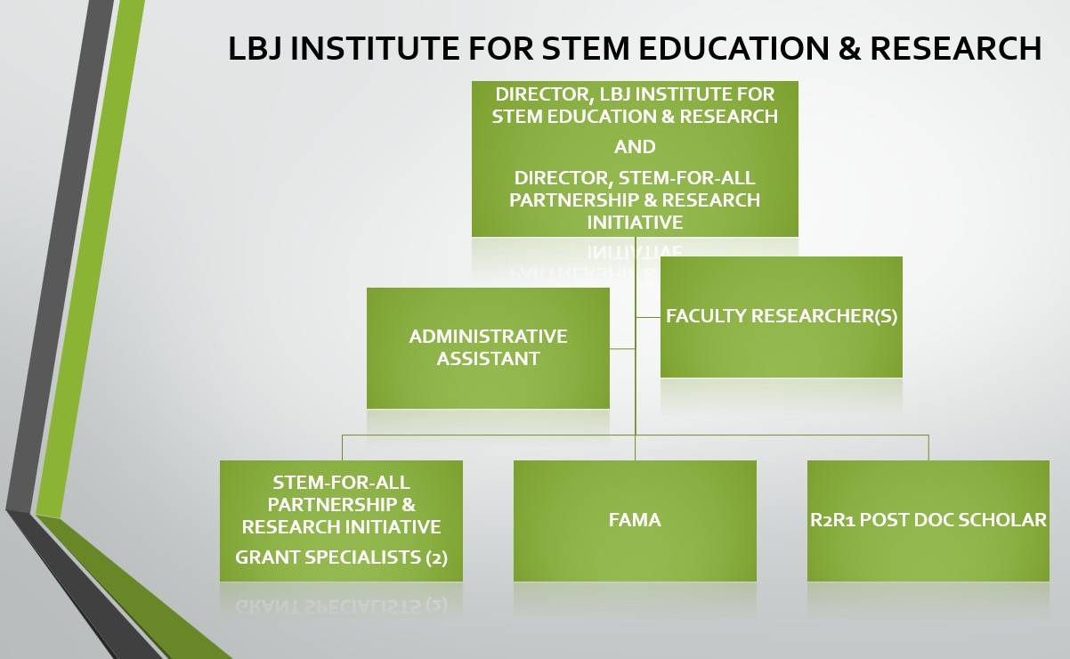 LBJ Institute for STEM Education and Research Organizational Chart