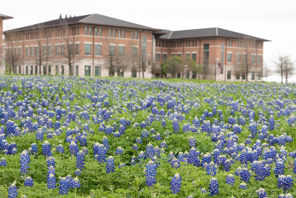 Health Professions campus view