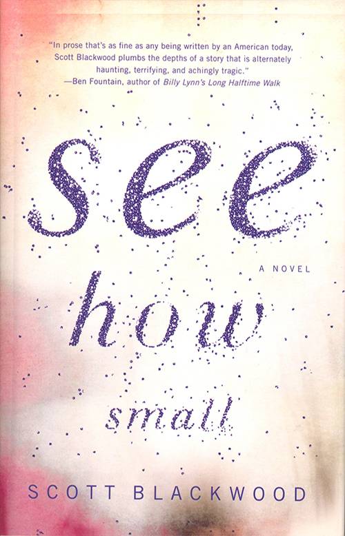 See How Small, cover