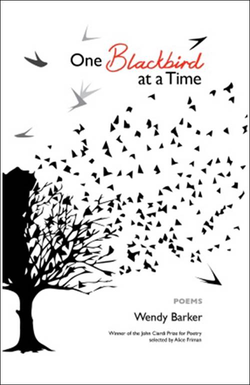 One Blackbird at a Time, cover