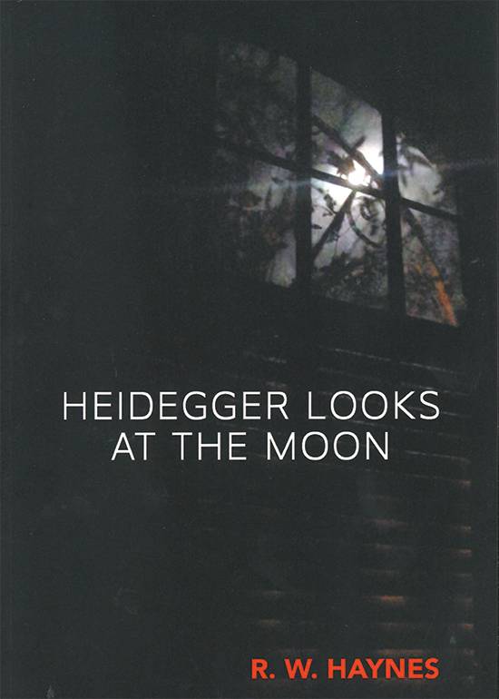 Heidegger Looks at the Moon, cover