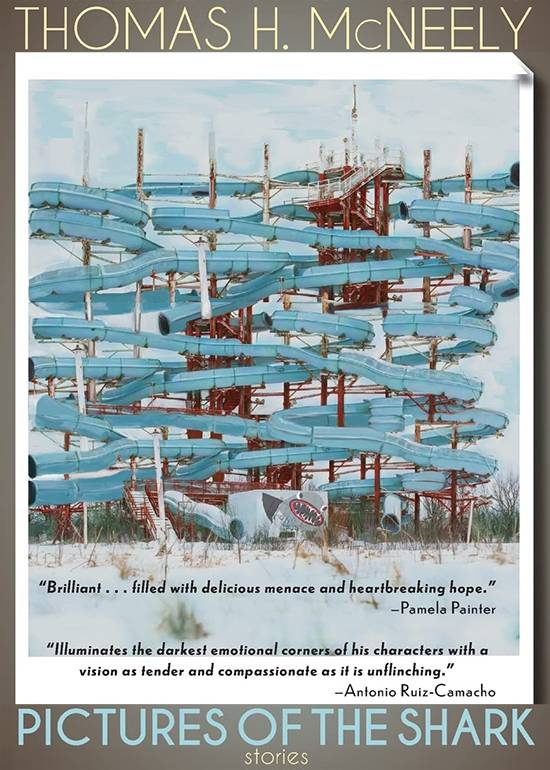 Pictures of the Shark, cover