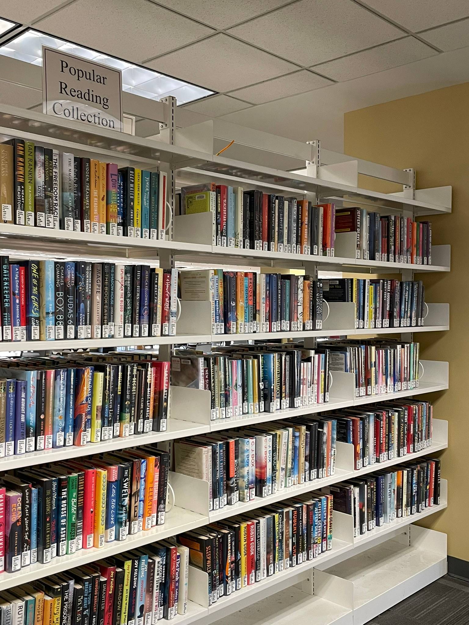shelves of books