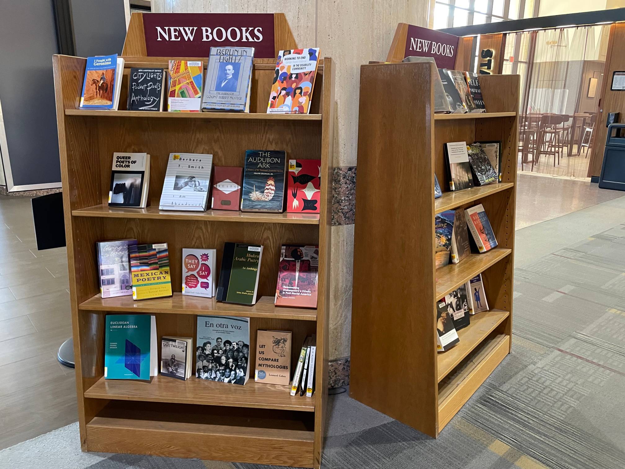 Shelves of books
