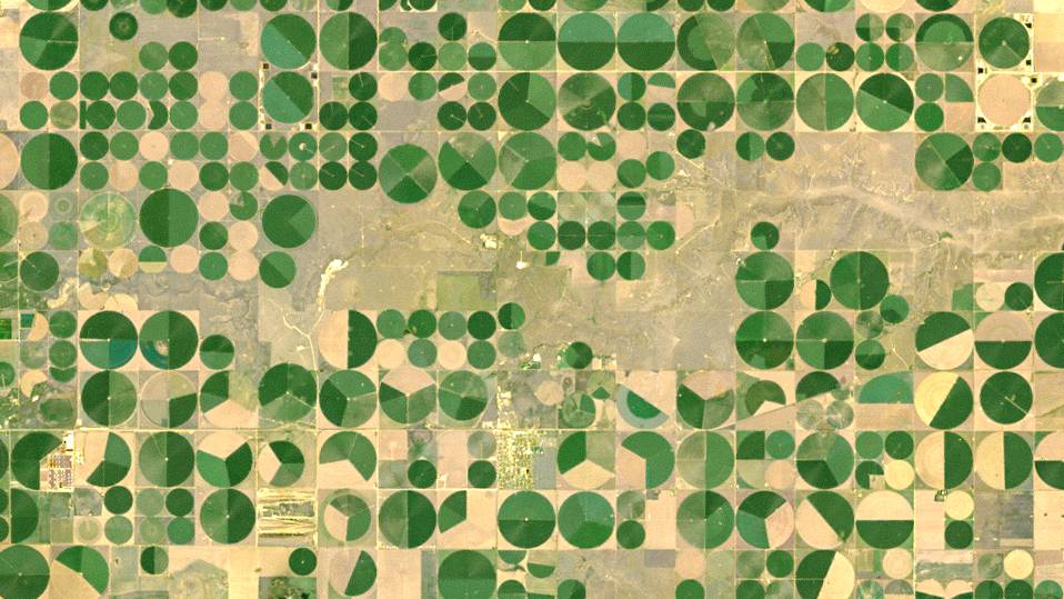 an arial view of crop irrigation circles