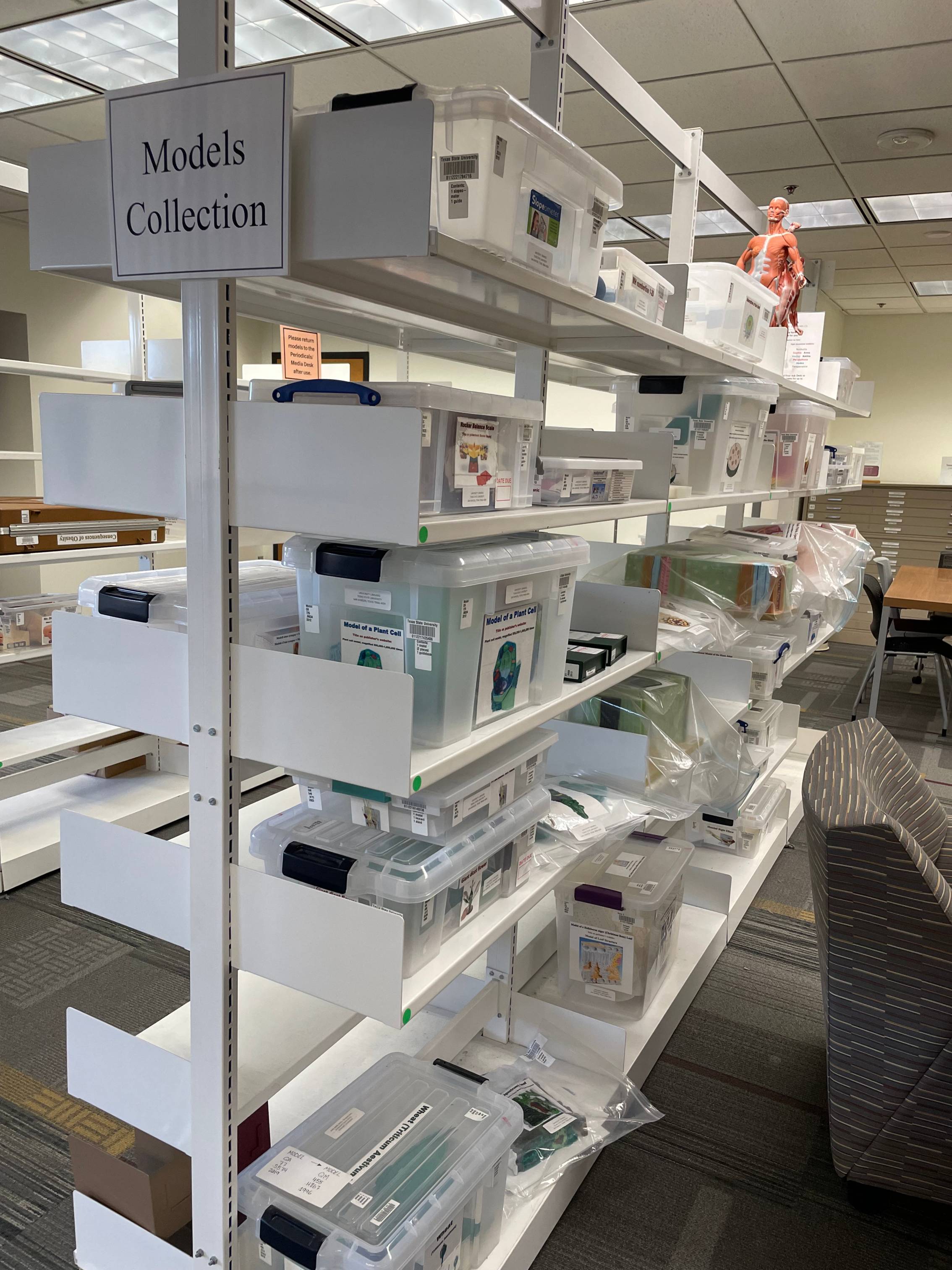 Shelves with plastic containers containing human anatomy models and books