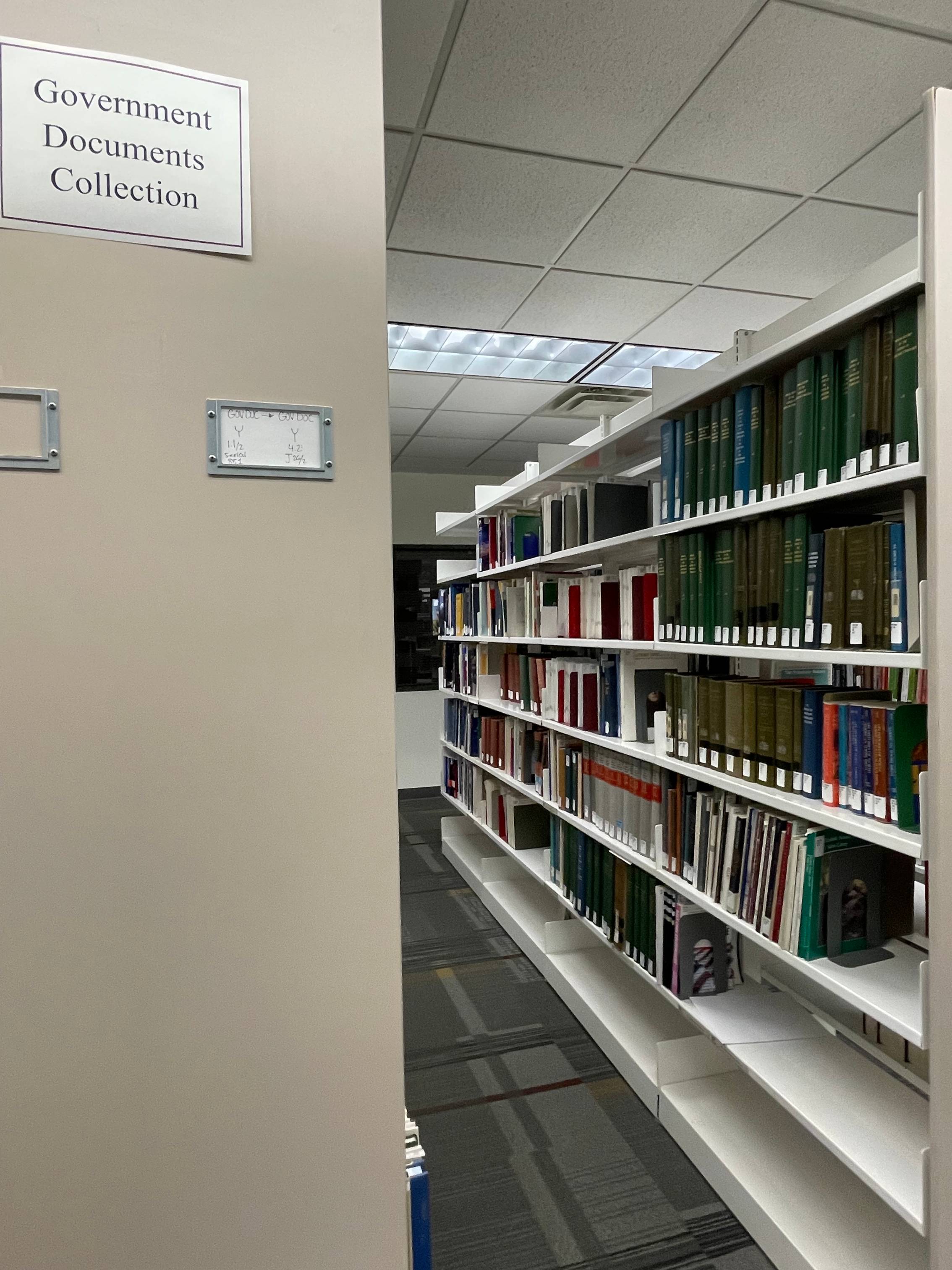 Government document shelves