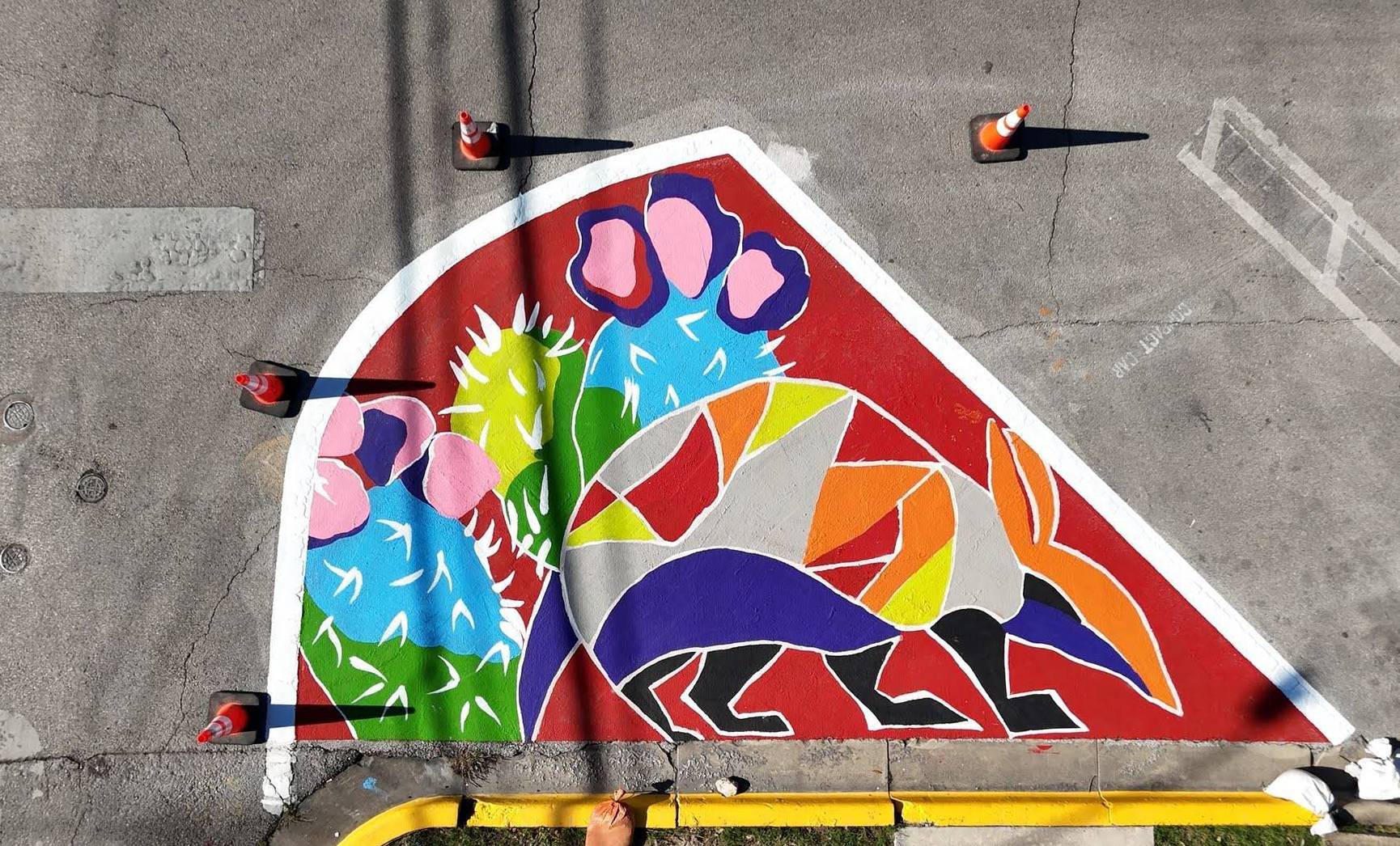 aerial view of a colorful mural of an armadillo