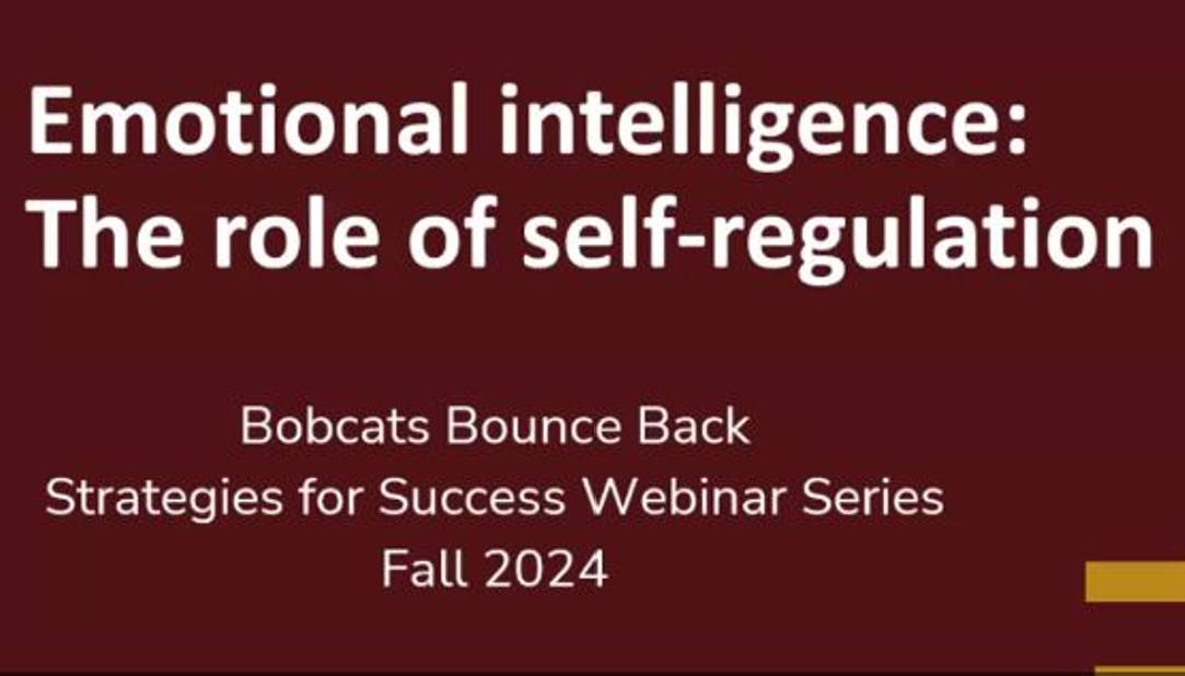 Emotional Intelligence: The Art of Self-Regulation