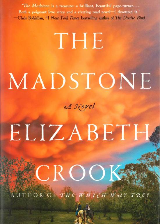 The Madstone cover