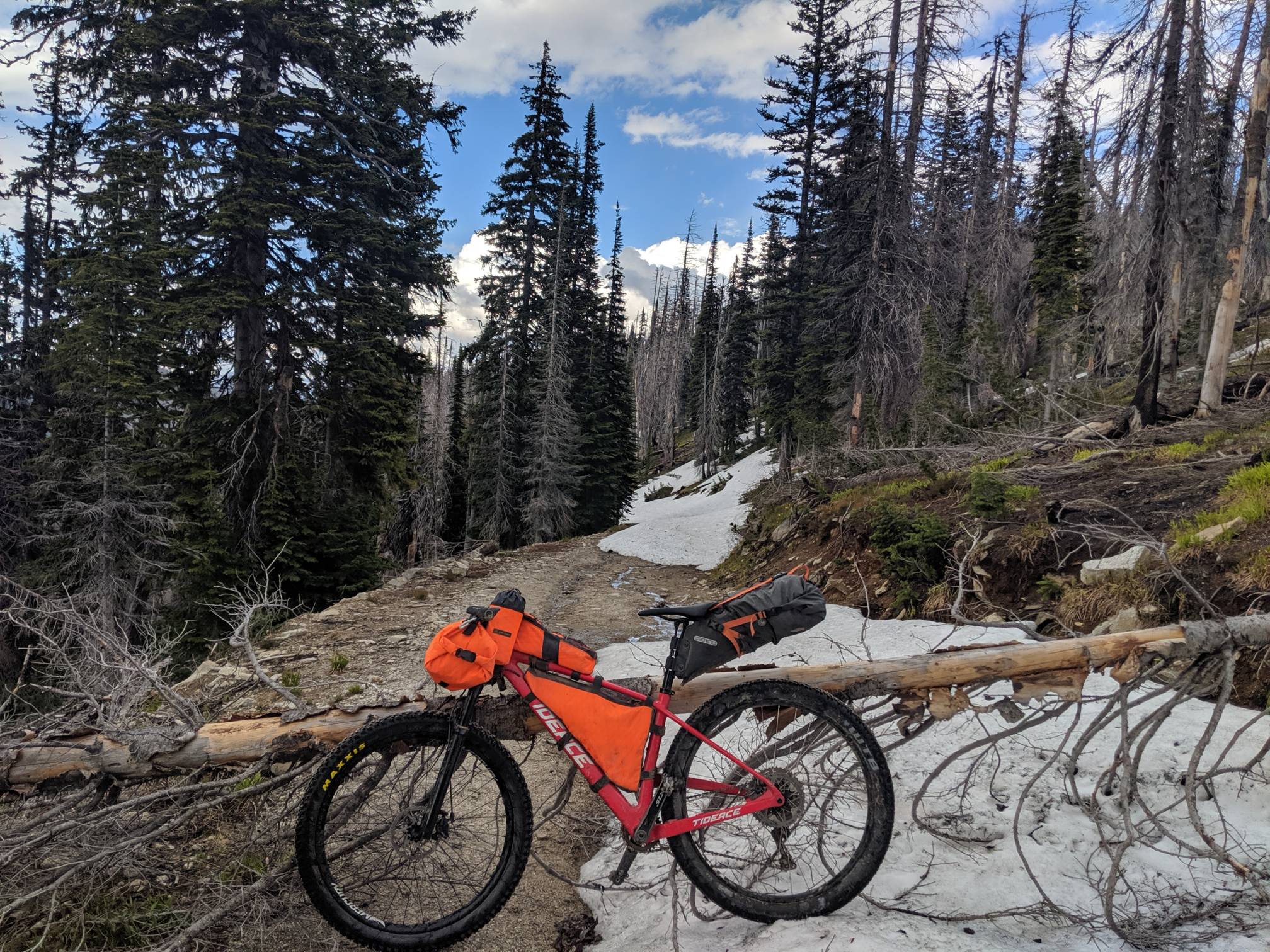 Snapshot of Landauer's bike on an isolated trail in Idaho during his Western Wildlands ride in 2019.