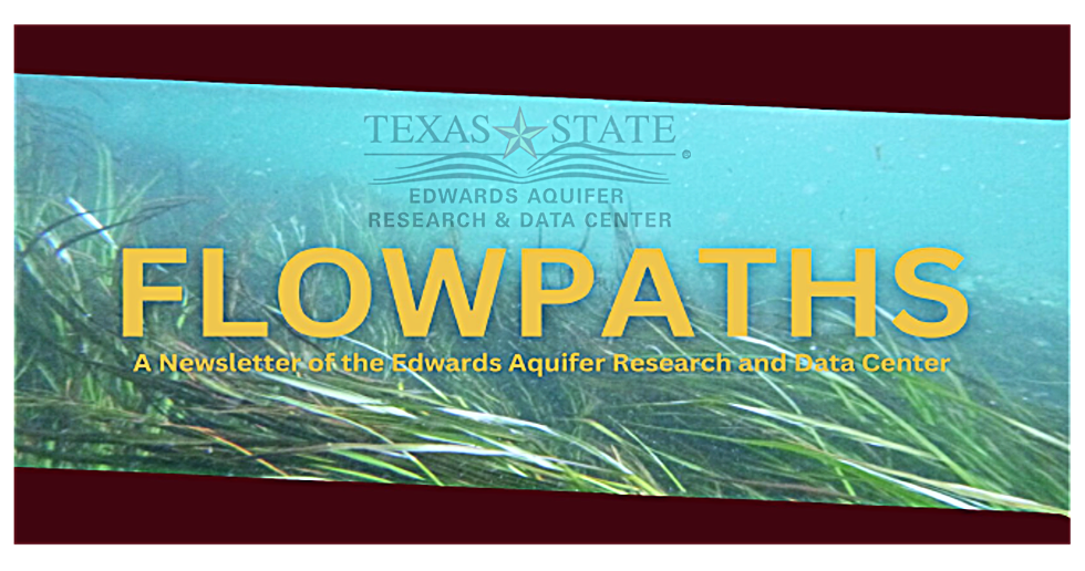 Flowpaths image