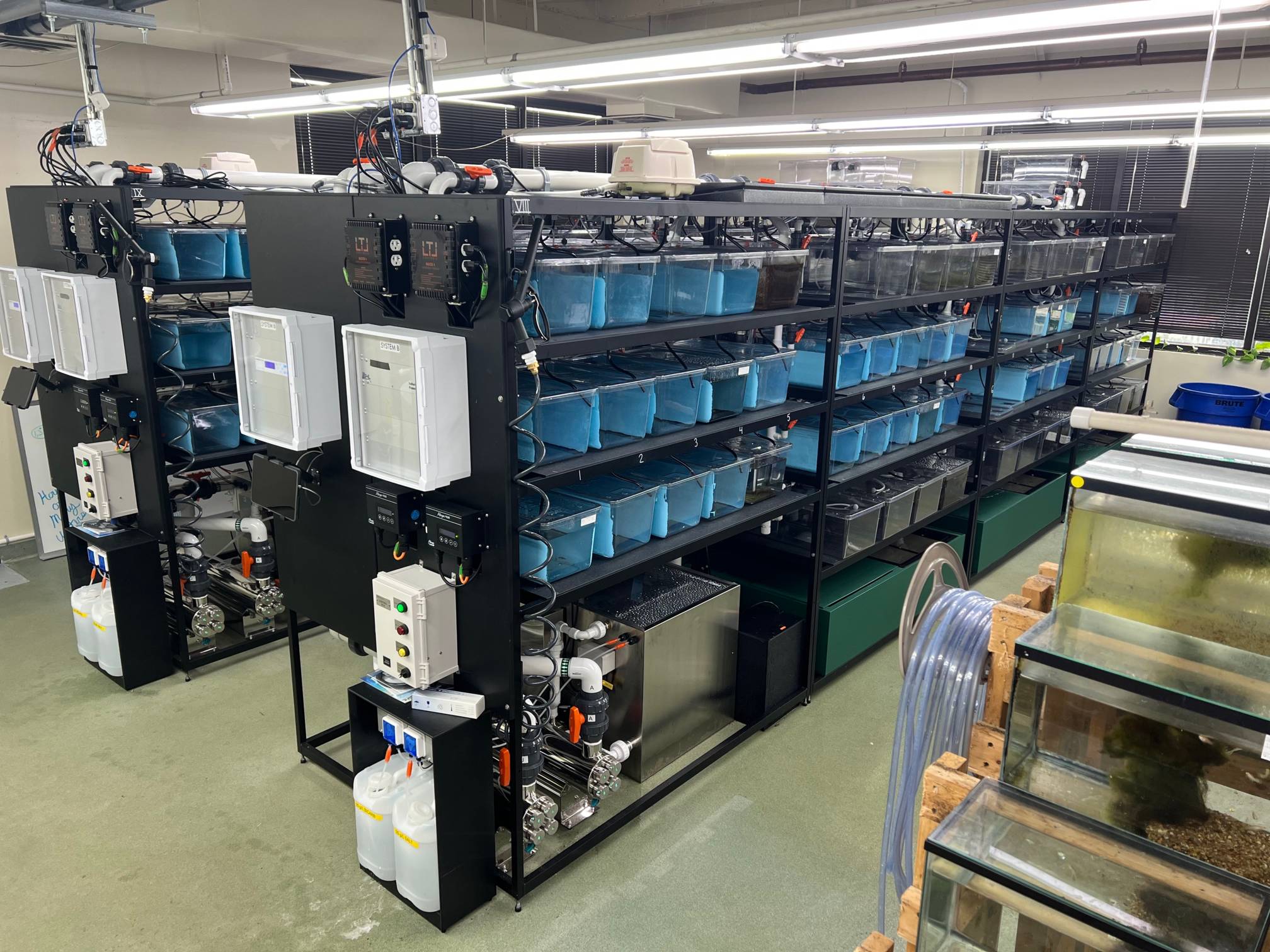 fish tanks in the XGSC
