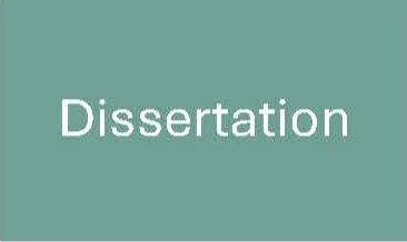Dissertation