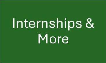 Internships & More