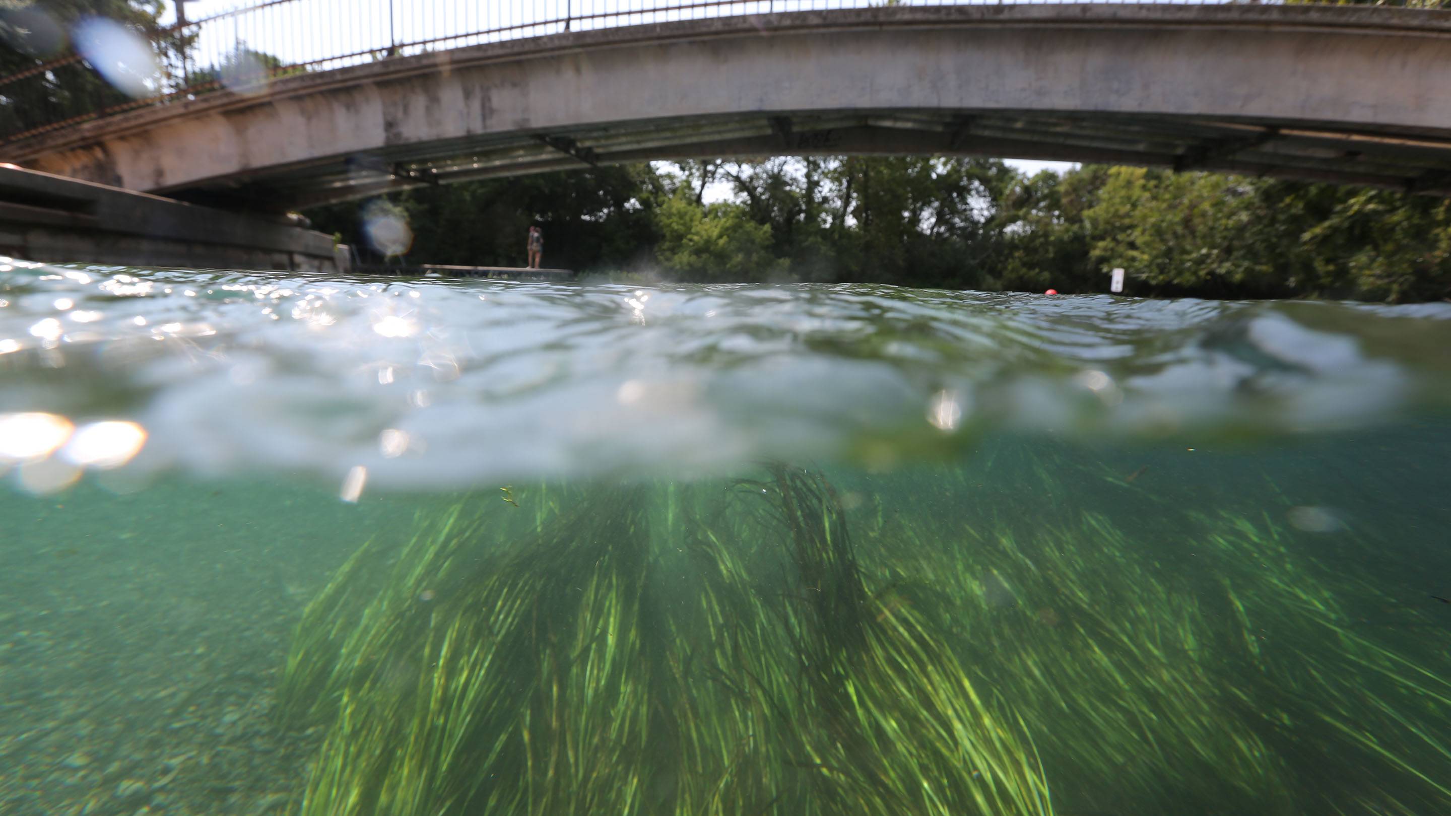 The San Marcos River.