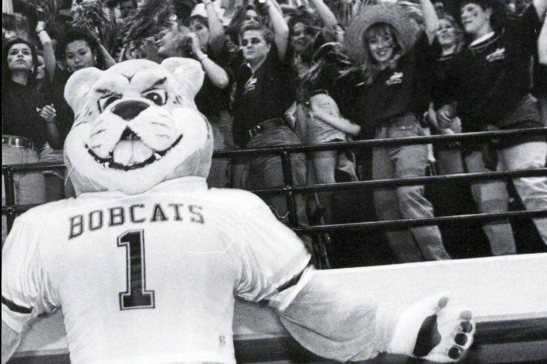 black and white vintage photo of bobcat mascot in white football jersey reading "bobcats"