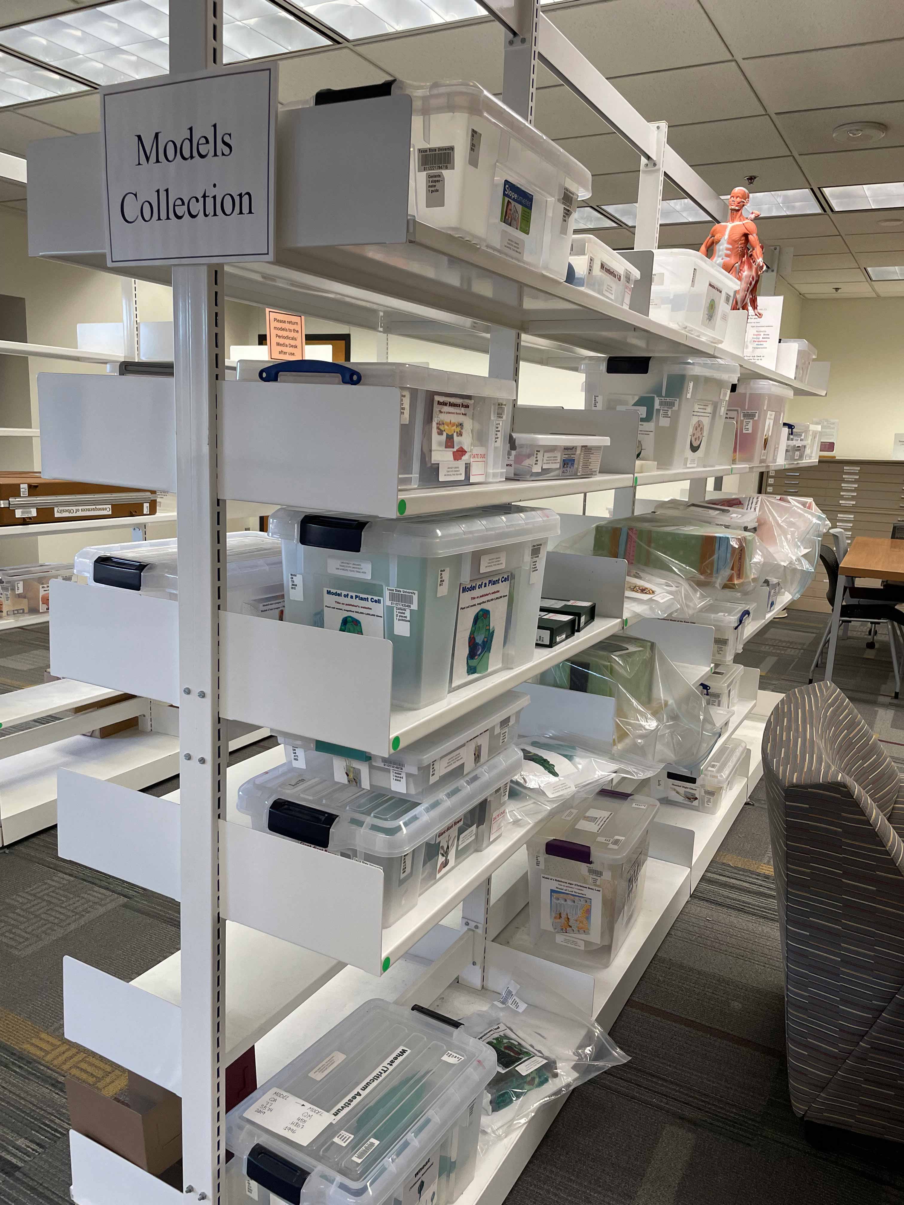 Shelves with plastic containers containing human anatomy models and books