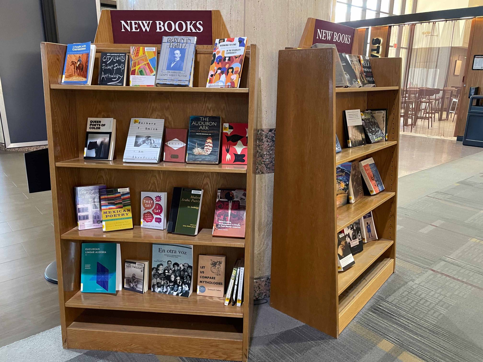 Shelves of books