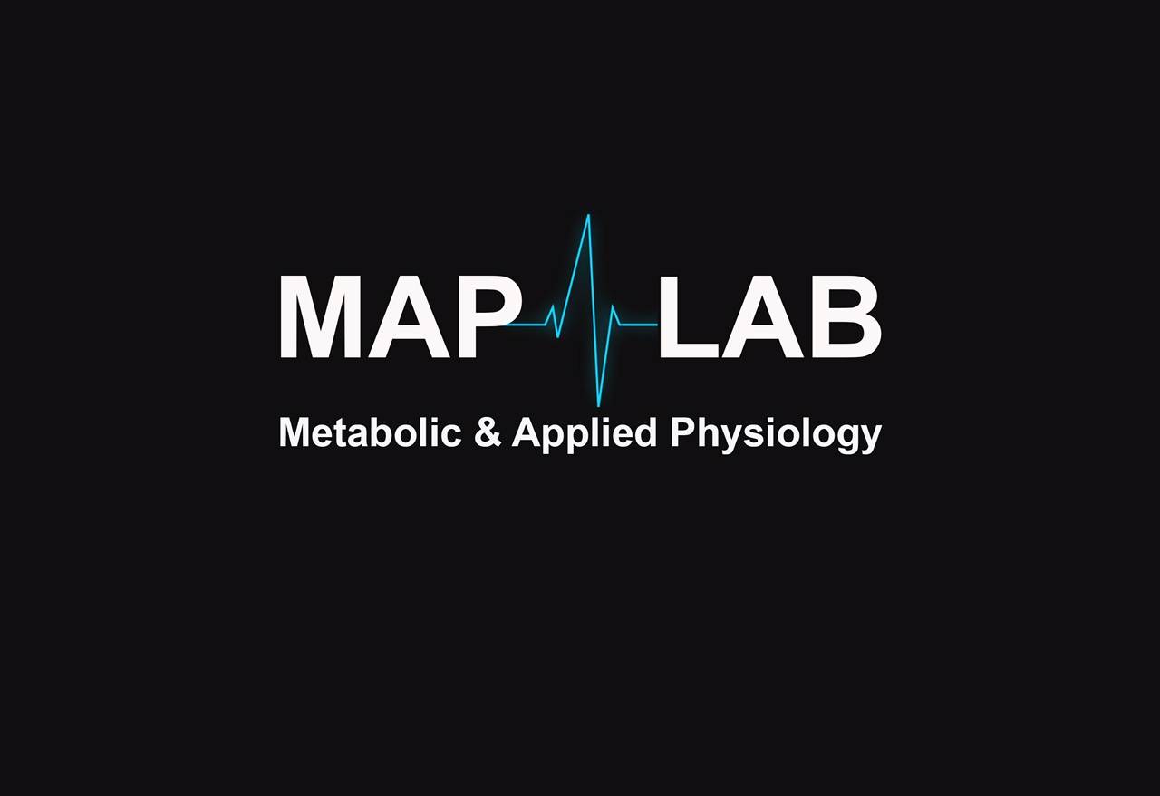 Map Lab Logo Black Background