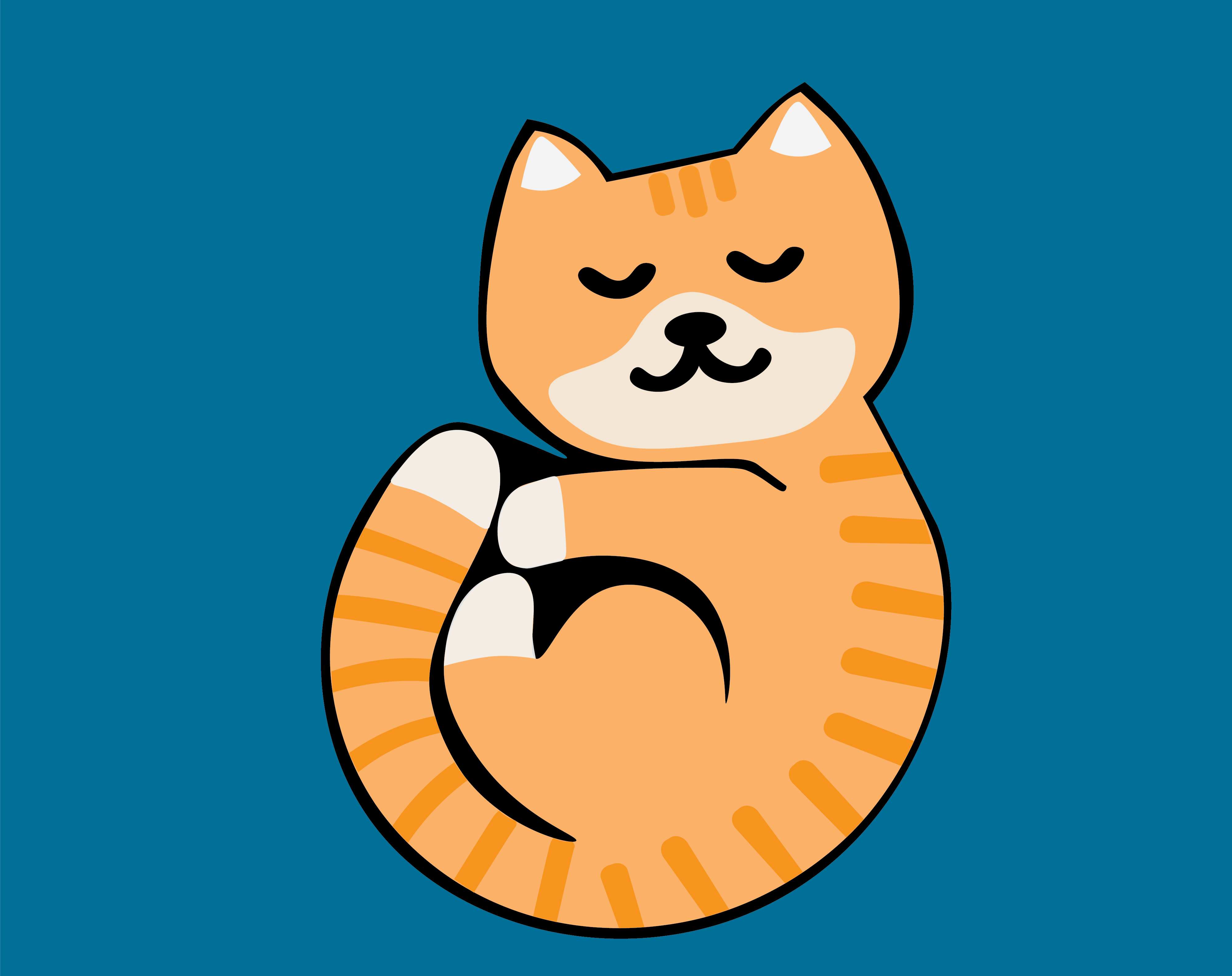 Photo of cat taking a nap. 