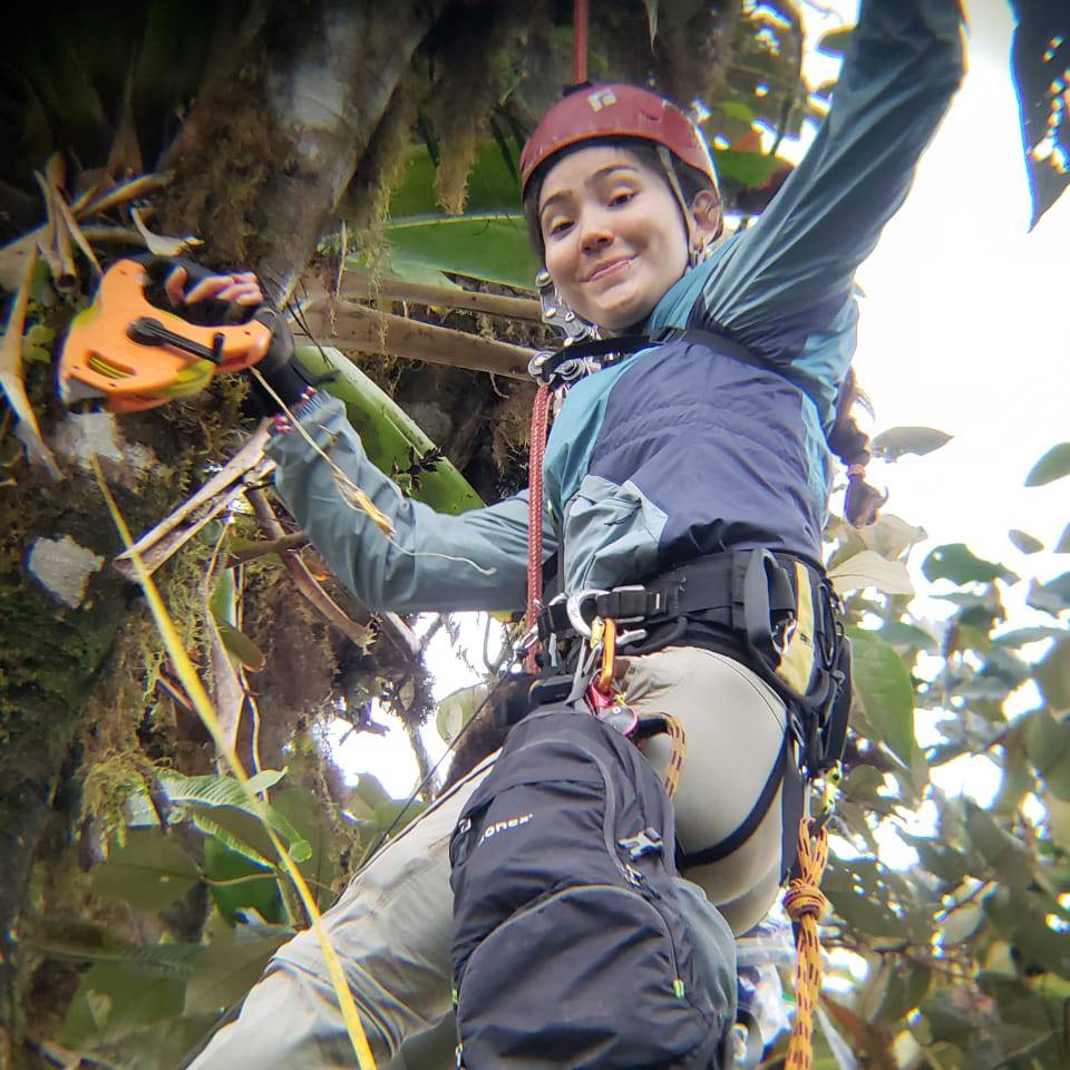 Mar Moretta-Urdiales conducting research in Ecuador while up in a tree.