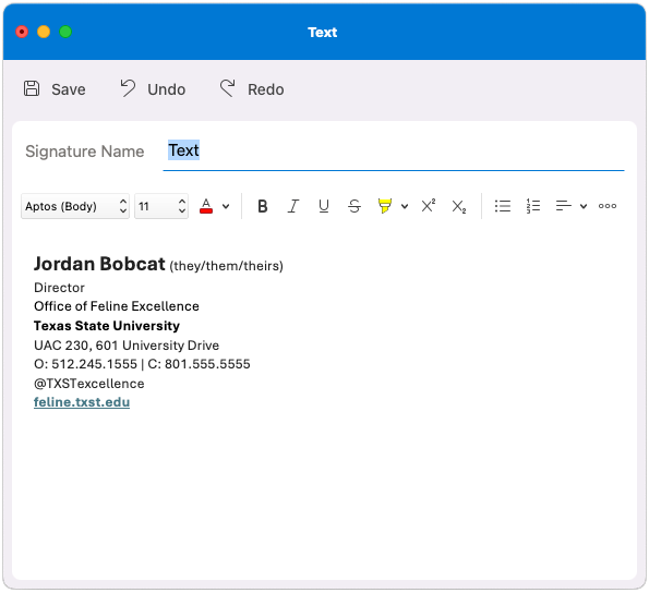 Screenshot showing a sample of a Texas State Email Signature, using text only.