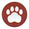 bobcat icon