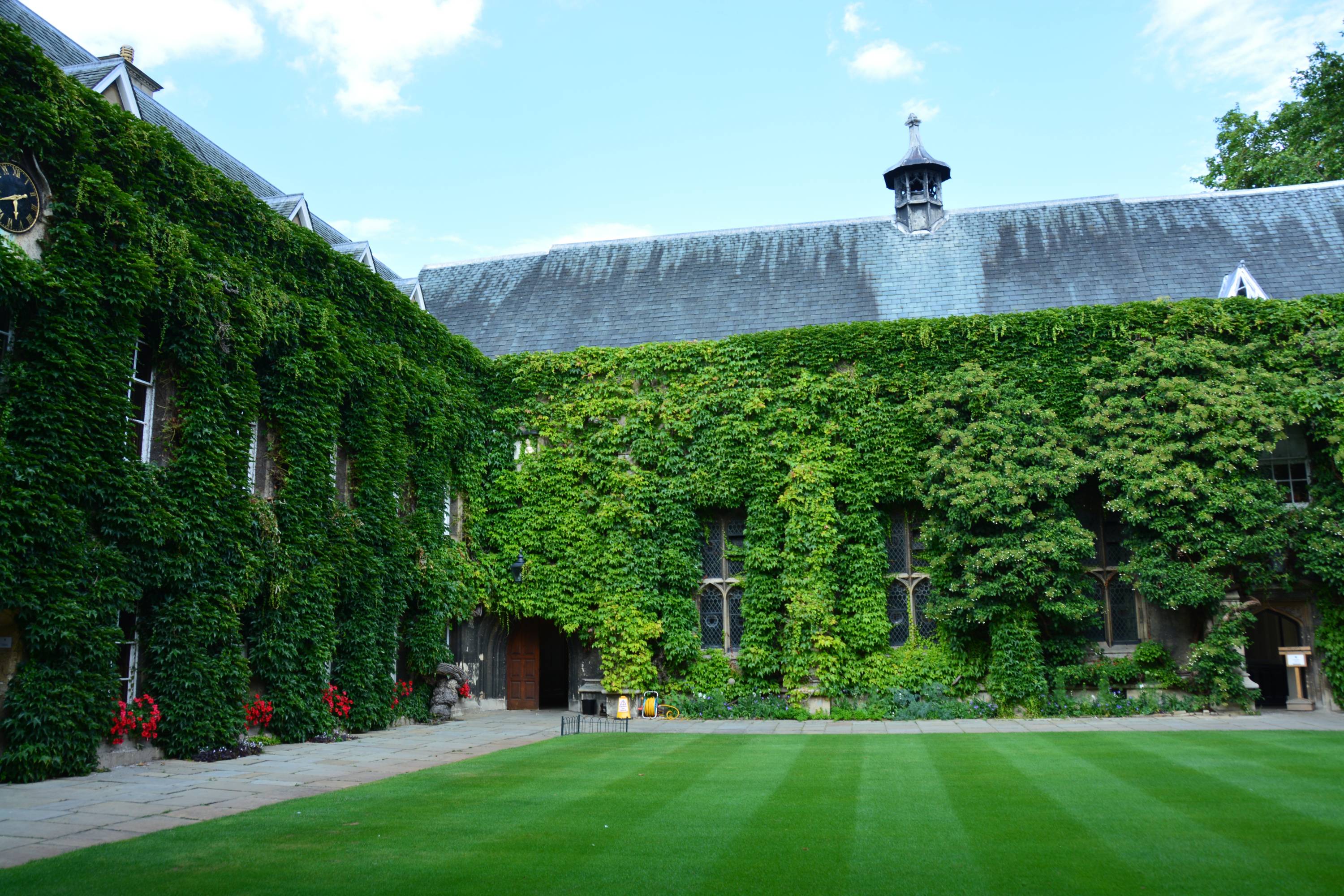 Building with green ivy covering the walls