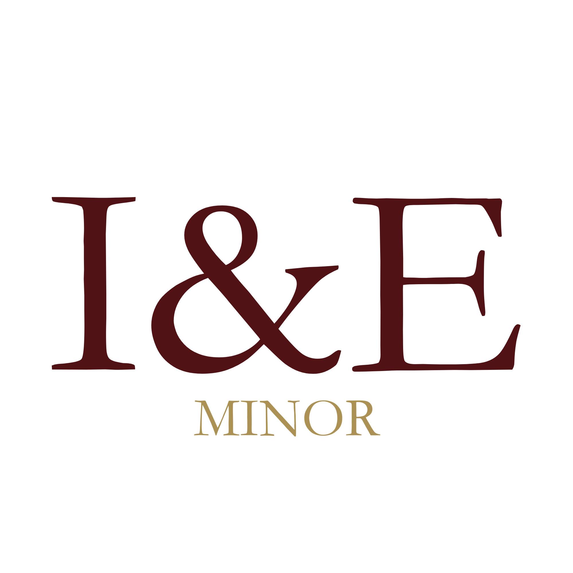 Innovation & Entrepreneurship Minor