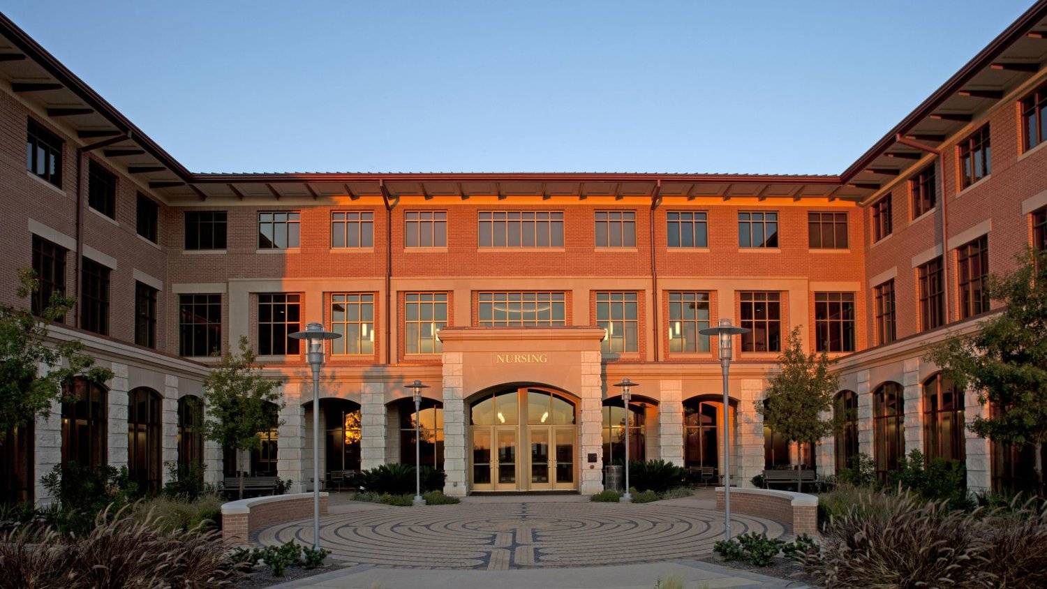 School of Nursing