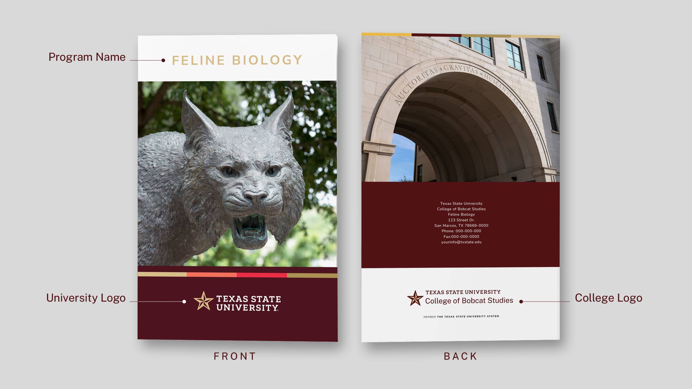 Front and back diagram of a brochure showing how the university logo, campus name, and unit name in context of the design