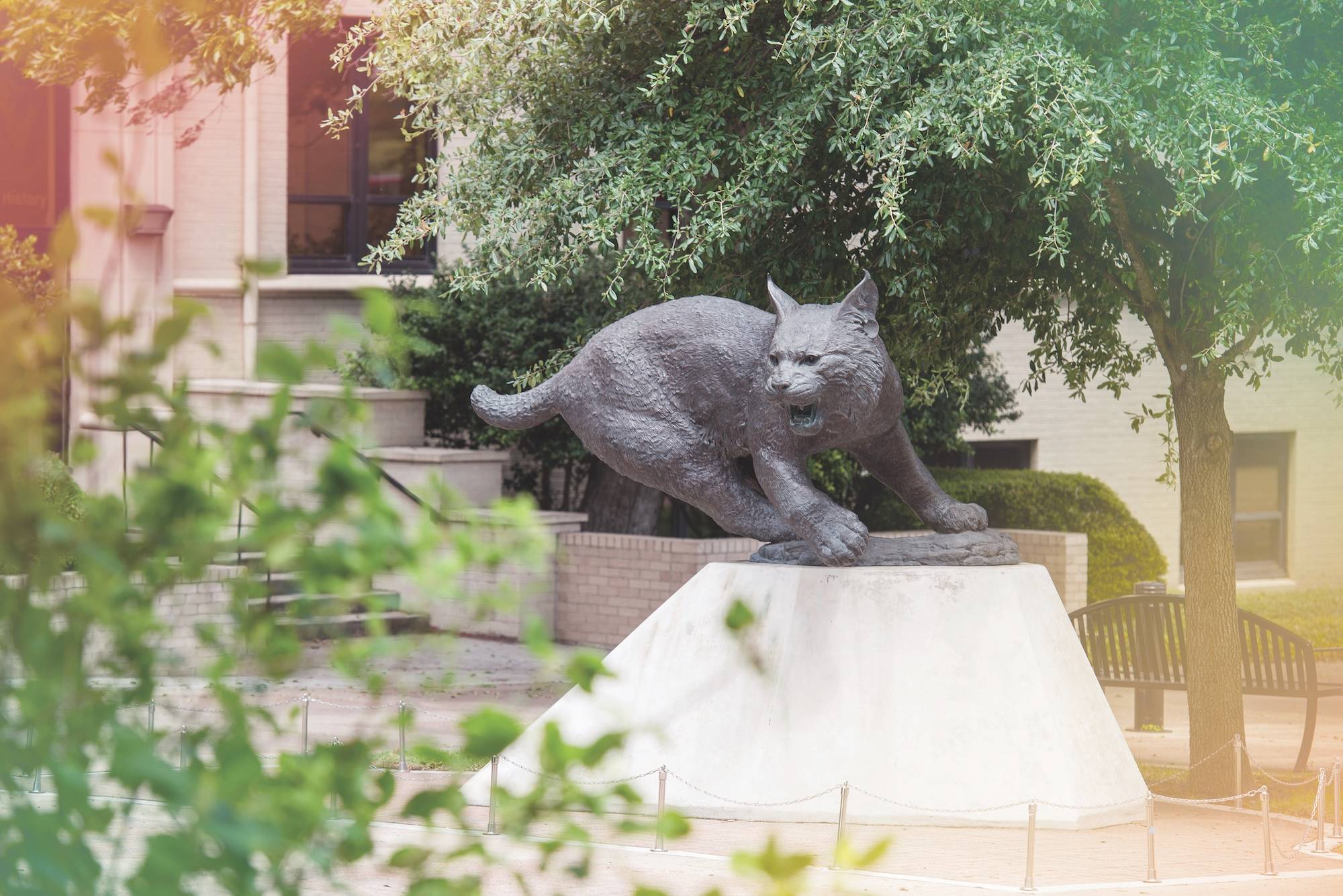Bobcat statue on the Texas State San Marcos campus