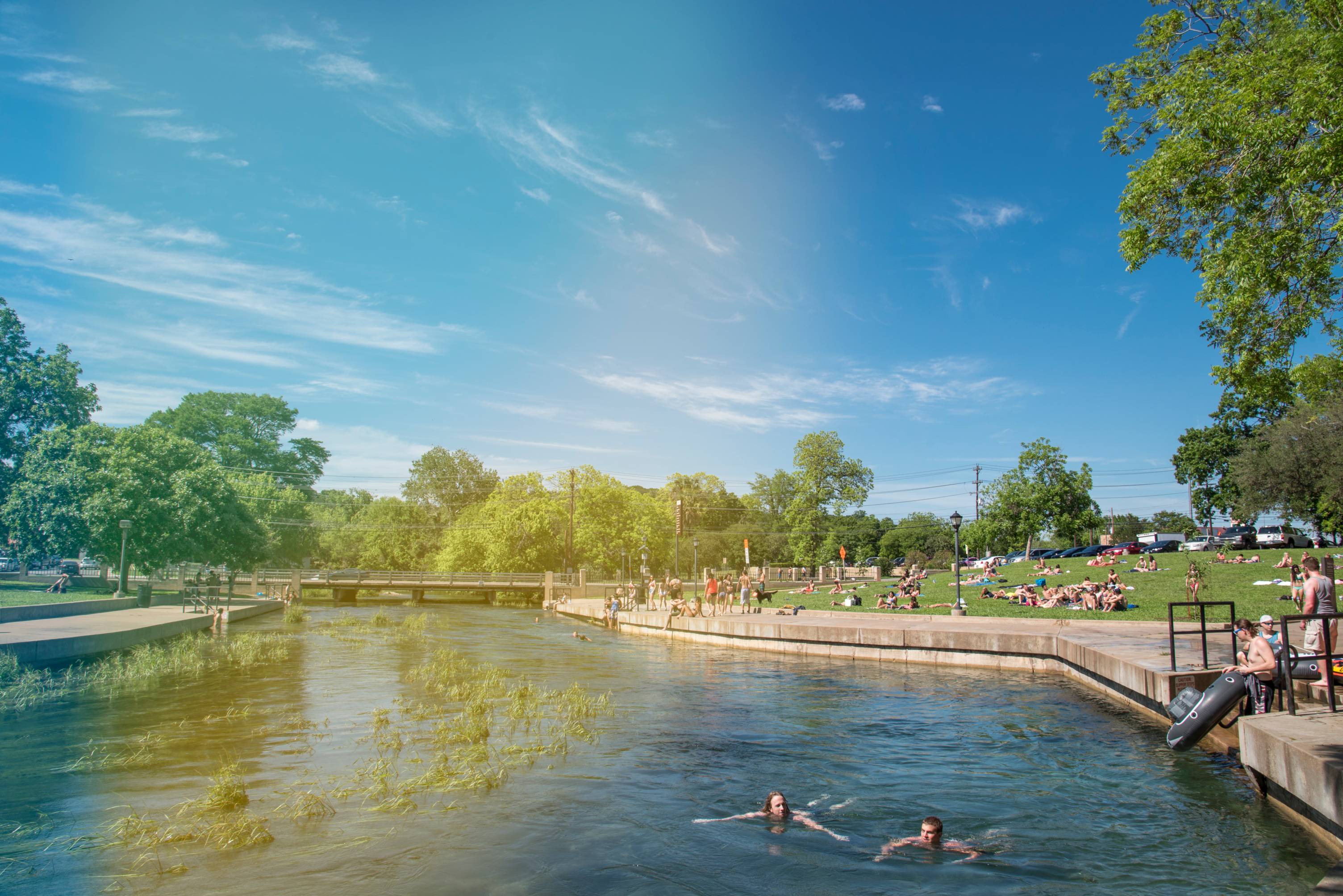 San Marcos river at Sewell with people lounging on the grass and swimming in the river