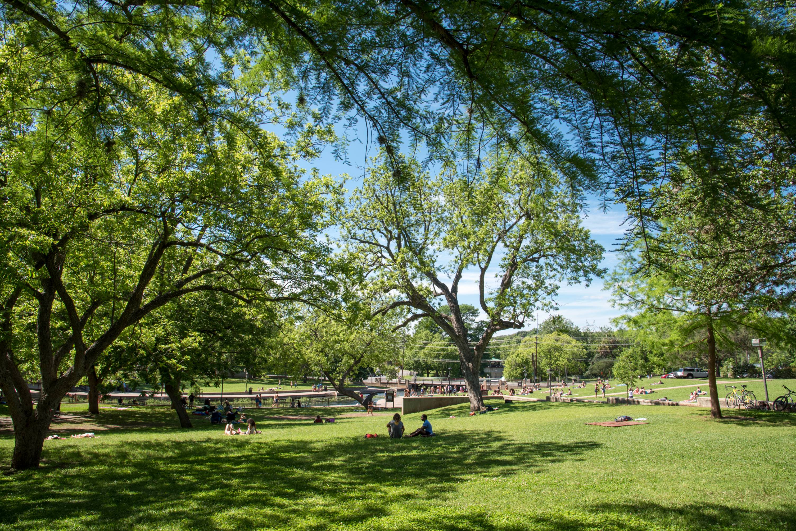 Sunny view of Sewell Park with groups of friends sitting in the grass