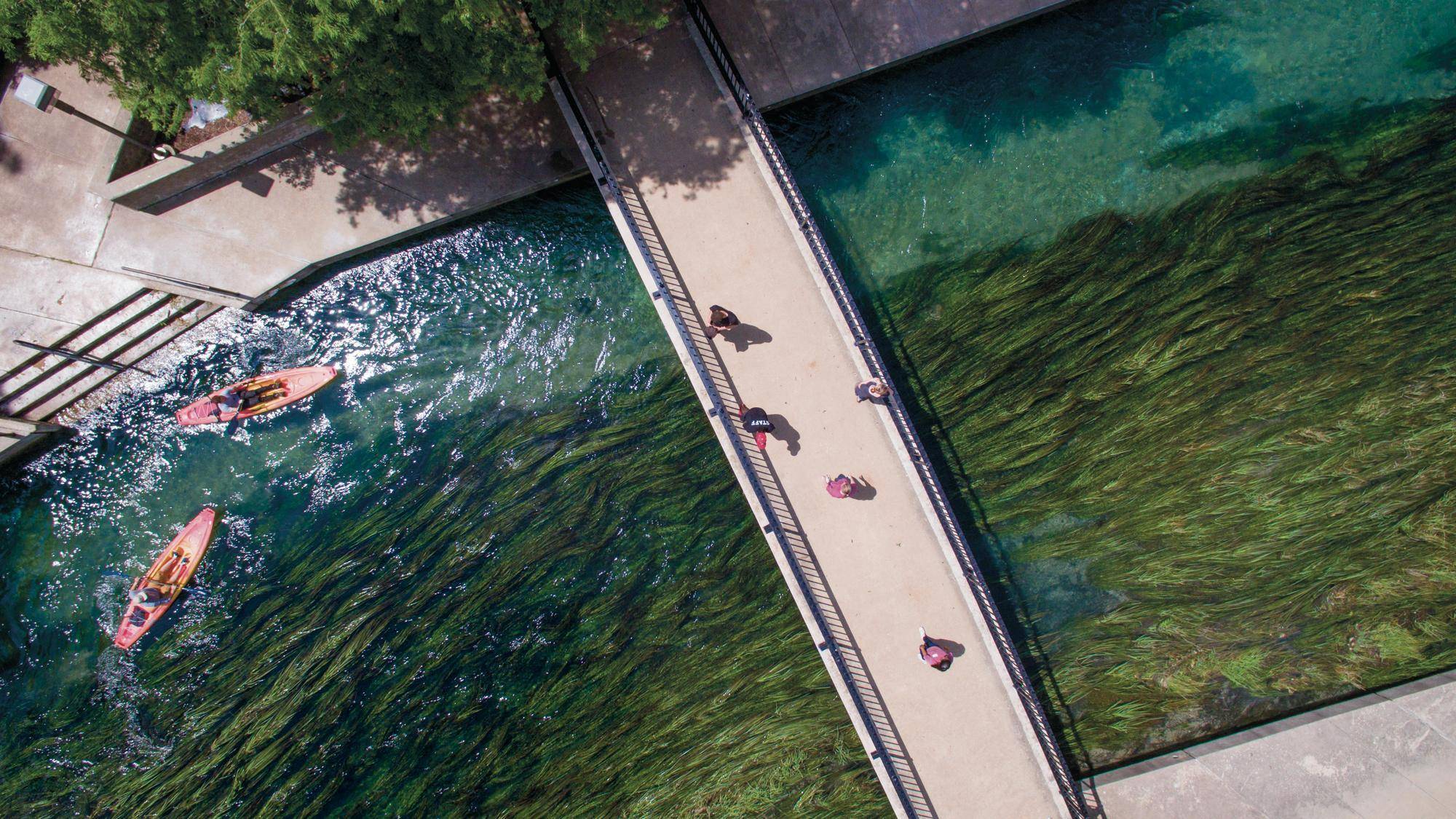 Aerial view of kayakers approaching a pedestrian bridge over the San Marcos River