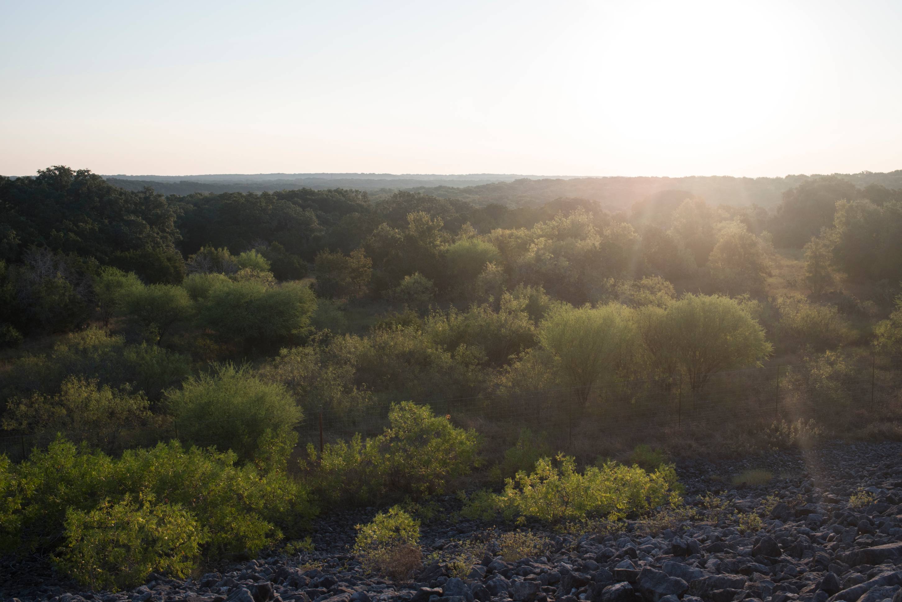Landscape view of greenery and a light blue sky.