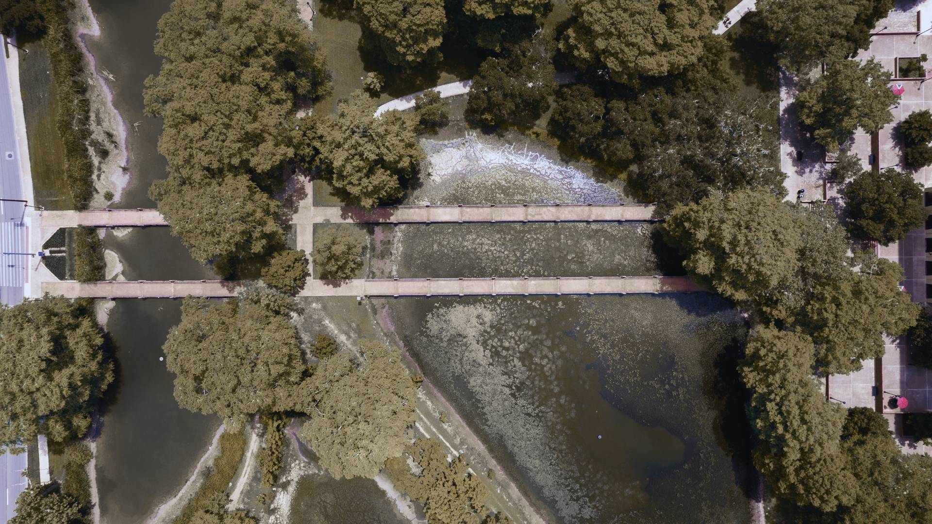 Aerial shot of walk ways and water body surrounded by trees