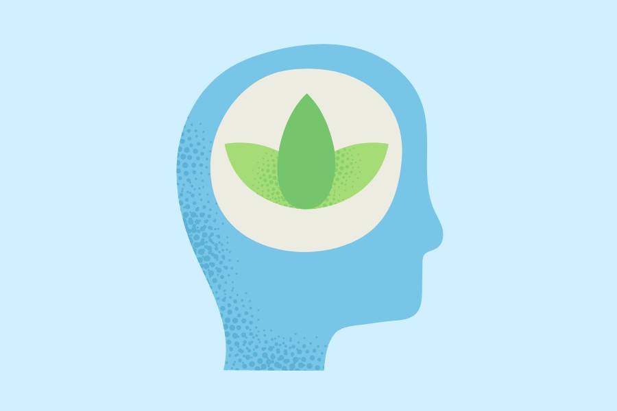 cartoon head with plant inside 