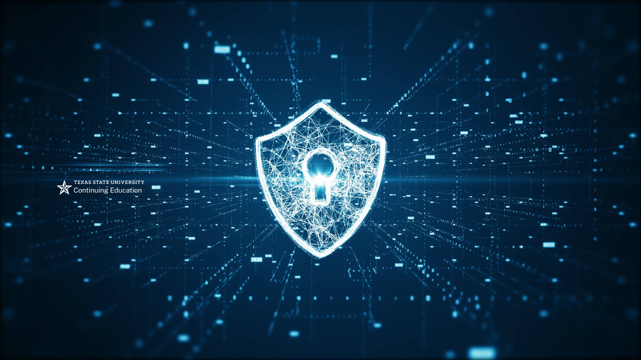a white shield with a key lock in it above blue data