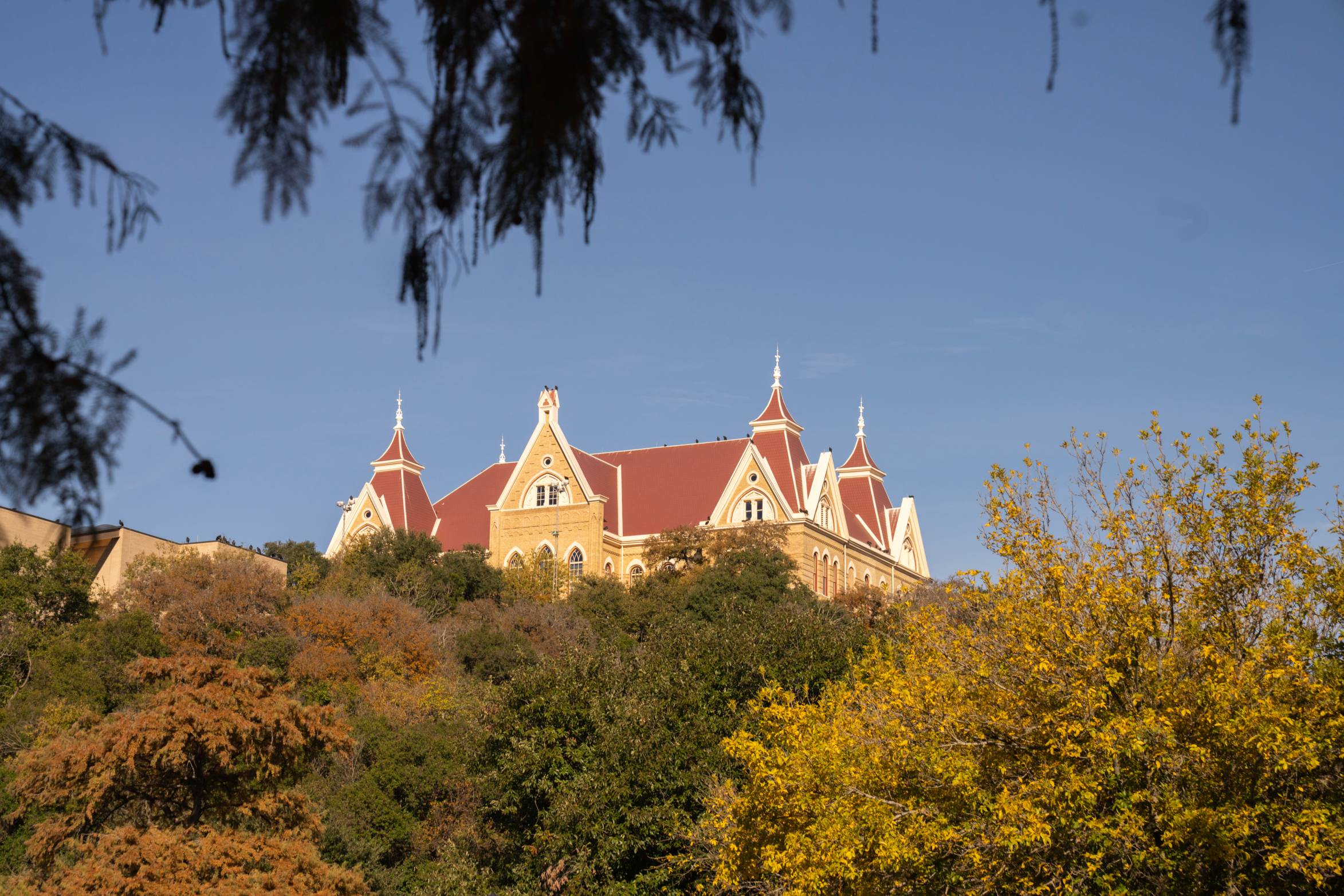 Graduate Course Elective Programs
