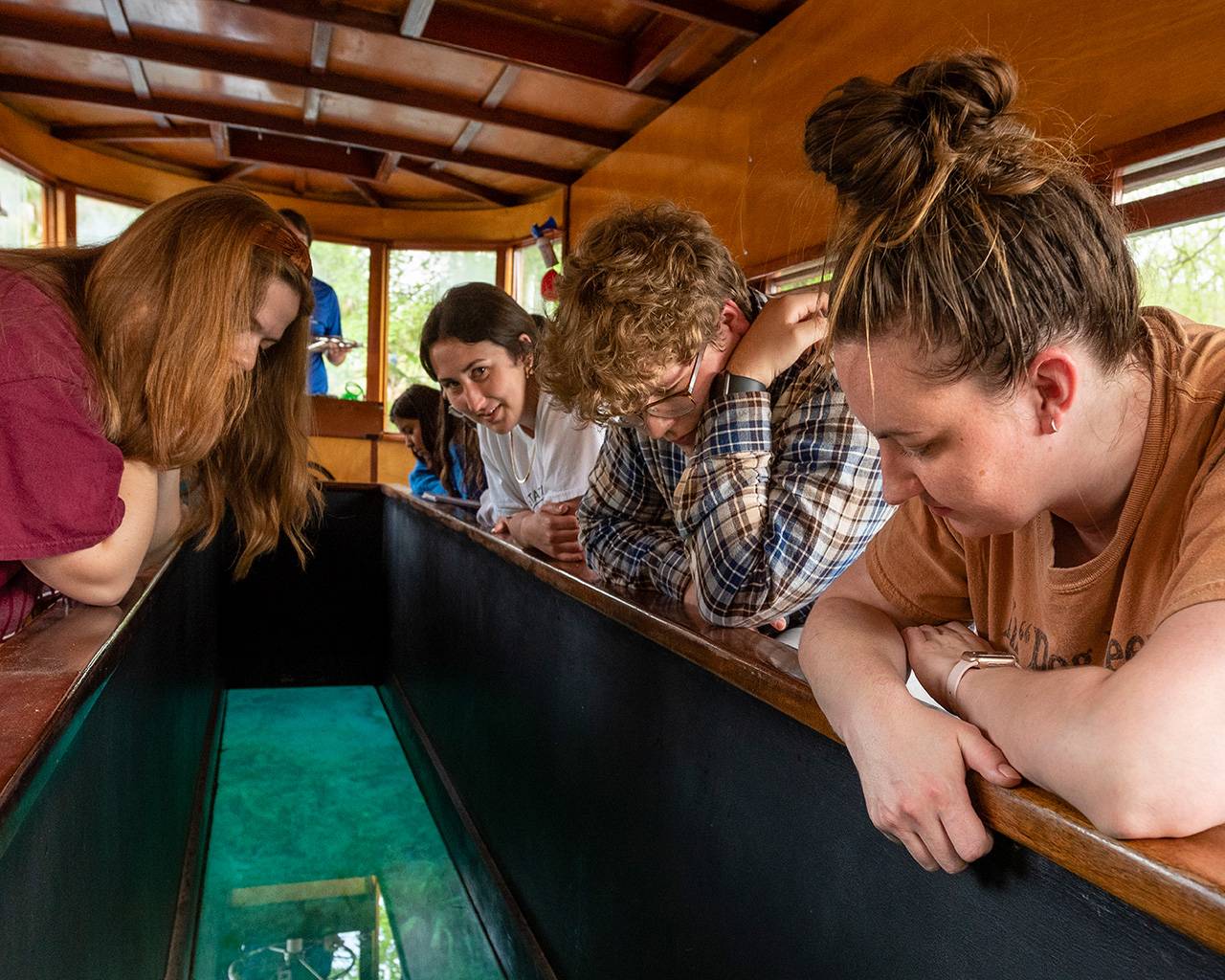 Students on a glass-bottom boat looking through the glass panel in the bottom of the boat and into the wildlife in the water.